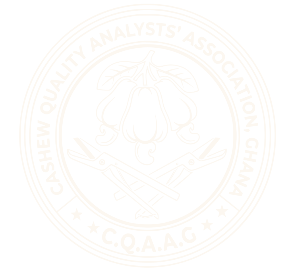 Cashew Analysts' Association - Ghana (official Logo)